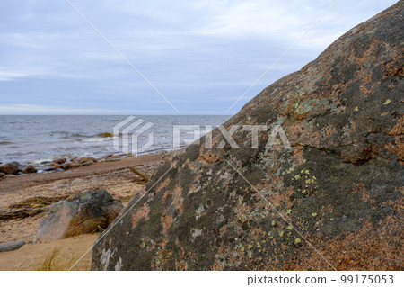 A large stone on the shore of the Baltic Sea in spring. The Baltic Sea in the background. 99175053