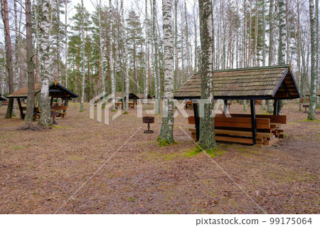Recreation area in the forest with wooden gazebos, outdoor recreation in an ecologically clean reserve for tourists. Rest in a birch grove 99175064