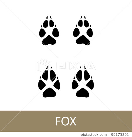 Fox mammal trace 99175201