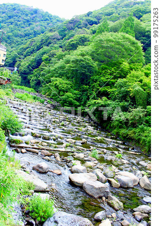 [神奈川縣]多雲的箱根宿毛川和箱根山 99175263
