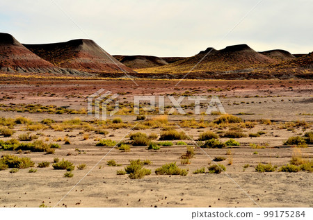 Desolate Landscape Petrified Forest Arizona 99175284