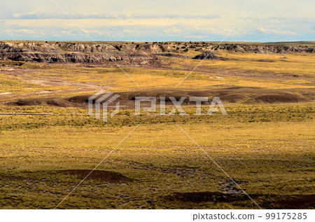 Desolate Landscape Petrified Forest Arizona 99175285