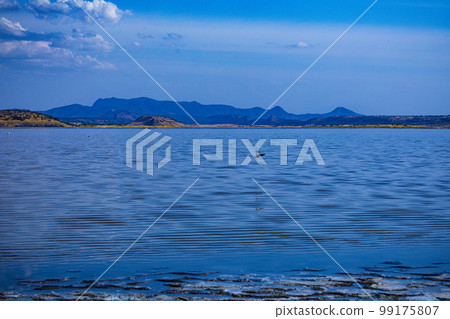 Lake Magadi Salt In Kenya Lake Magadi Salt In Kenya 99175807