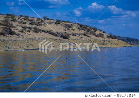 Lake Magadi Salt In Kenya  99175814