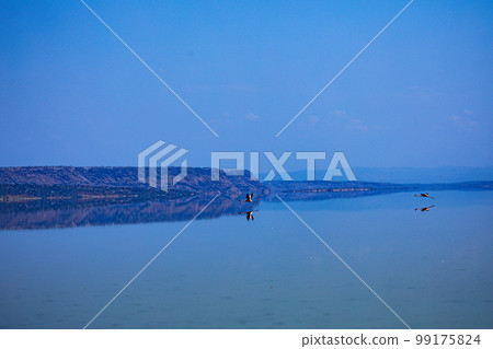 Lake Magadi Salt In Kenya  99175824
