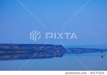 Lake Magadi Salt In Kenya  99175826