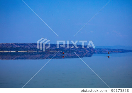 Lake Magadi Salt In Kenya  99175828