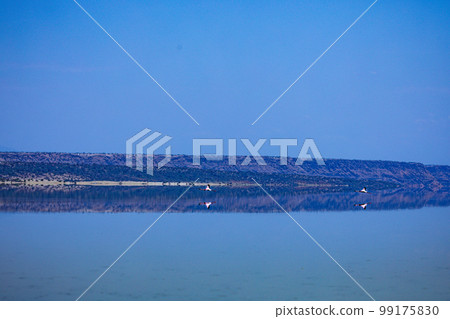Lake Magadi Salt In Kenya Lake Magadi Salt In Kenya 99175830