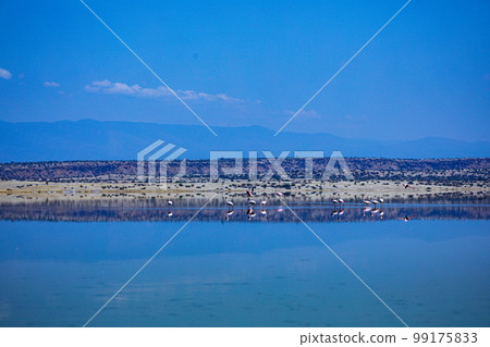 Lake Magadi Salt In Kenya  99175833