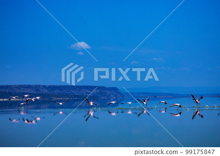 Lake Magadi Salt In Kenya Lake Magadi Salt In Kenya 99175847