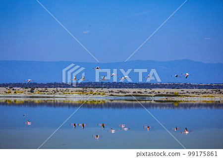 Lake Magadi Salt In Kenya Lake Magadi Salt In Kenya 99175861