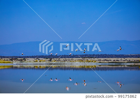 Lake Magadi Salt In Kenya Lake Magadi Salt In Kenya 99175862