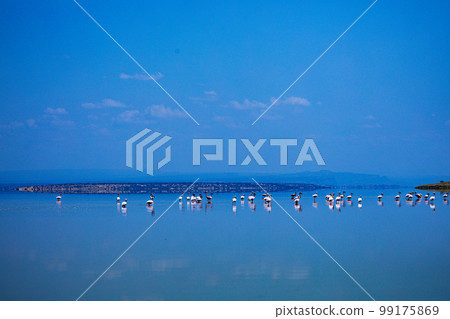 Lake Magadi Salt In Kenya Lake Magadi Salt In Kenya 99175869