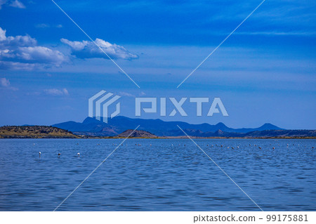 Lake Magadi Salt In Kenya Lake Magadi Salt In Kenya 99175881