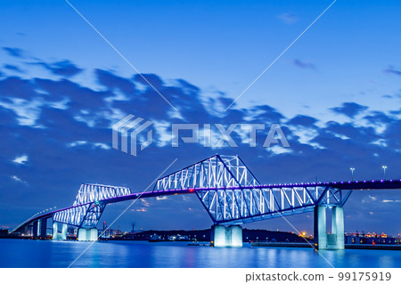 [東京城市景觀]東京門大橋夜景（若洲公園） 99175919
