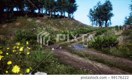Forest road through a green summer forest in northern Sweden 99176222