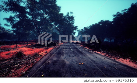 Road leading over small hills in australian bush landscape 99176310