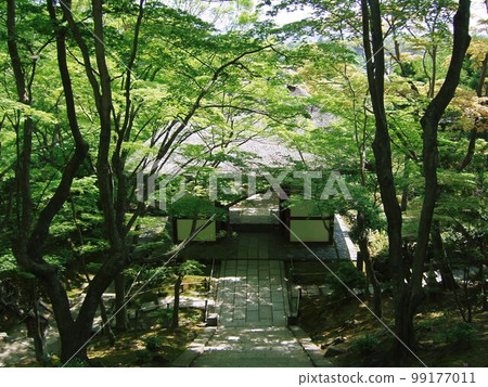 Scenery of Jojakko-ji Temple in the fresh green of Kyoto Scenery of Jojakko-ji Temple in the fresh green of Kyoto 99177011