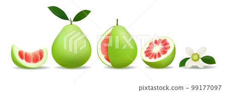 Pomelo whole slices and flower 99177097