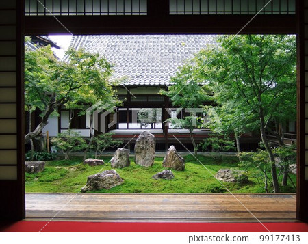 京都建仁寺庭園風光 京都建仁寺庭園風光 99177413