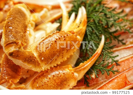 美味的生松葉蟹 美味的生松葉蟹 99177525