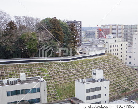 水戶城大手門 99177896