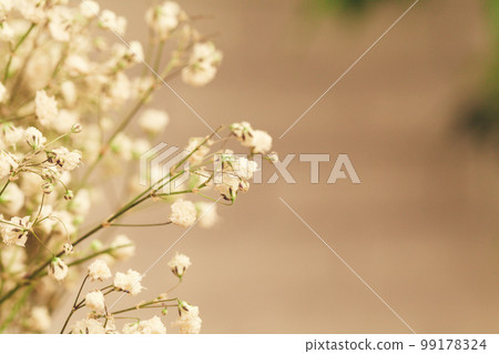 Bouquet of white gypsophila, baby's breath flowers close up Bouquet of white gypsophila, baby's breath flowers close up 99178324