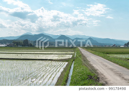 Rural countryside Rural countryside 99178498