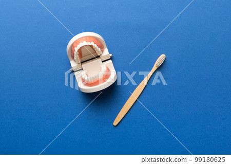 Closeup model of a human jaw with white teeth and Toothbrush. Dentistry conceptual photo. Prosthetic dentistry. False teet top view with copy space 99180625