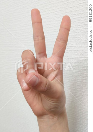 片 片 99181200