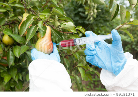 Genetically modified fruit 99181371