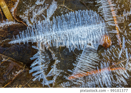 Close-up of frost textures on the ground. Frost needles 99181377