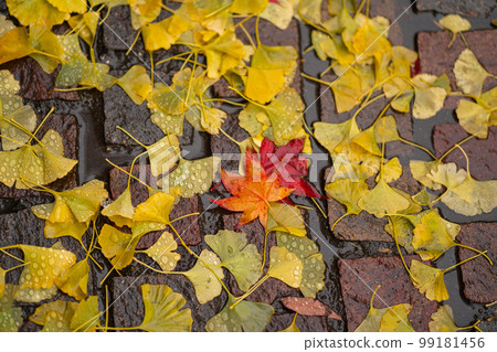 Deep autumn 99181456