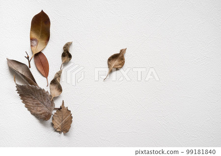 Dead leaves 99181840