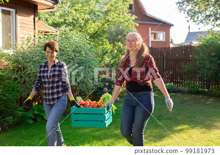 Two women farmer working in gardening. Gardener carrying crate with freshly harvested vegetables in garden. 99181973