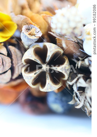 一個可愛的秋冬聖誕花環，上面有很多堅果 99182086