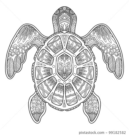 Sea turtle adult antistress coloring page vector illustration Sea turtle adult antistress coloring page vector illustration 99182582