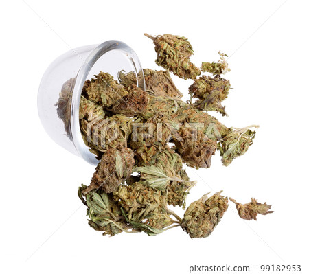 Green Marijuana Buds in Clear Glass on white. Cannabis Legalization. Green Marijuana Buds in Clear Glass on white. Cannabis Legalization. 99182953