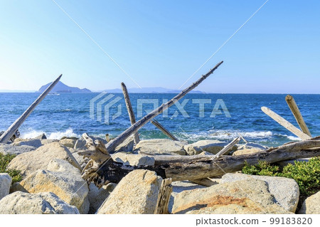 Driftwood washed up on Cape Irago 99183820