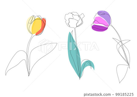 Set beautiful blossoming tulip flower in continuous line art drawing style. Minimalist black linear sketch isolated on white background. Vector illustration. Set beautiful blossoming tulip flower in continuous line art drawing style. Minimalist black linear sketch isolated on white background. Vector illustration. 99185225