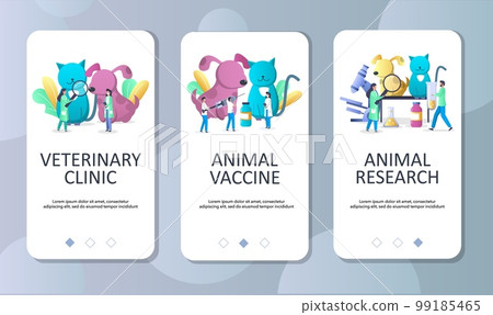 Veterinary clinic mobile app onboarding screens vector template Veterinary clinic mobile app onboarding screens vector template 99185465
