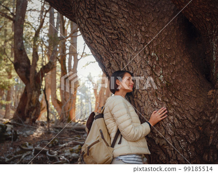 woman enjoys nature, beautiful forest in mountains woman enjoys nature, beautiful forest in mountains 99185514