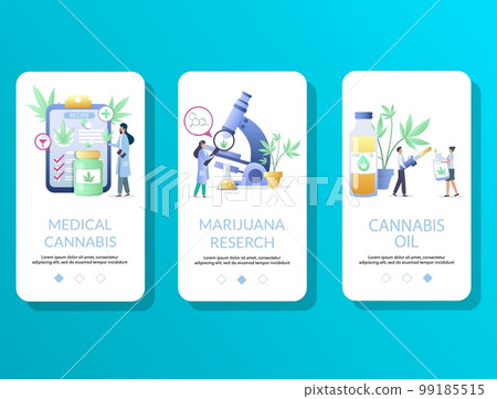Medical cannabis mobile app onboarding screens vector template 99185515