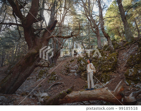 woman enjoys nature, beautiful forest in mountains 99185518