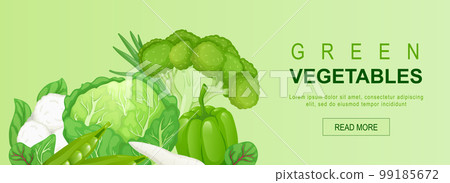 Green vegetables horizontal web banner. Cabbage, peas, broccoli, bell, pepper, spinach, cauliflower, greens, other vegetables. Vector illustration for header website, cover templates in modern design 99185672