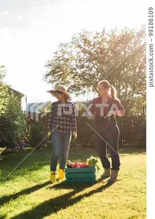 Two women farmer working in gardening. Gardener carrying crate with freshly harvested vegetables in garden. Two women farmer working in gardening. Gardener carrying crate with freshly harvested vegetables in garden. 99186109