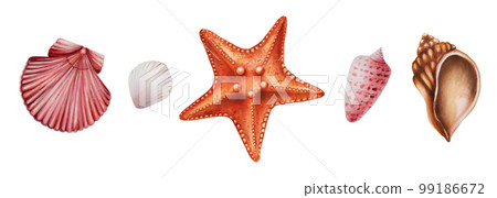 Watercolor set with starfish and shiny shells. Hand painting clipart underwater life objects on a white isolated background. For designers, decoration, postcards, wrapping paper, scrapbooking, covers 99186672