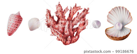 Watercolor sea shells. Hand painting clipart underwater life objects on a white isolated background. For designers, decoration, postcards, wrapping paper, scrapbooking, covers, invitations, wedding Watercolor sea shells. Hand painting clipart underwater life objects on a white isolated background. For designers, decoration, postcards, wrapping paper, scrapbooking, covers, invitations, wedding 99186676