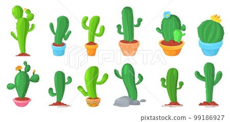 Cactus desert flower growing in pot and ground set 99186927