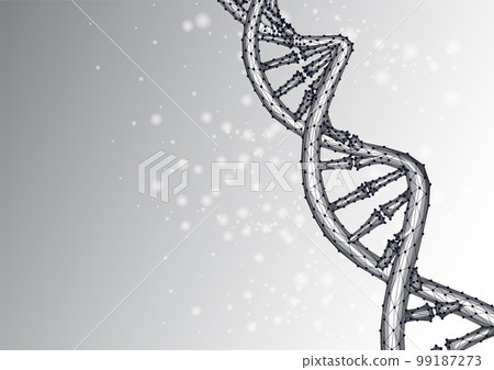 Abstract DNA molecule in polygonal style black on white background. Wireframe Helix DNA structure 99187273